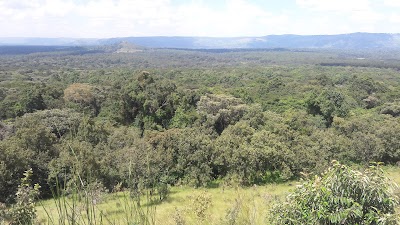 Photos of Kakamega Forest National Reserve