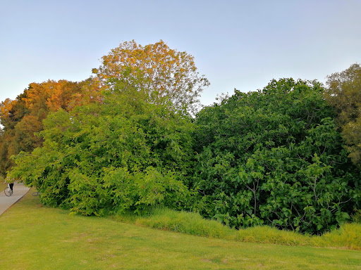 Foreshore Place Reserve - Thumbnail