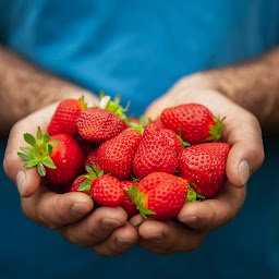 Photo n°4 de La Ferme des Onglees à Anglure (Conserverie)