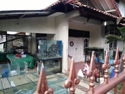 pet-store