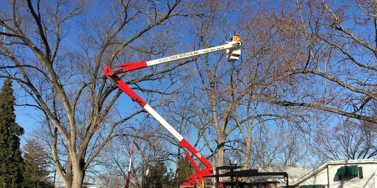 Smitty's Tree Service Inc.