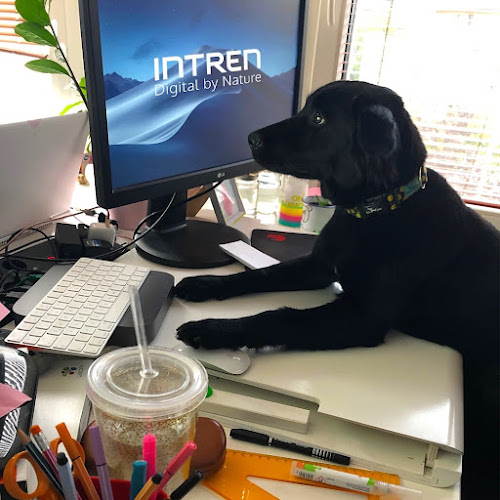 INTREN - Reklámügynökség