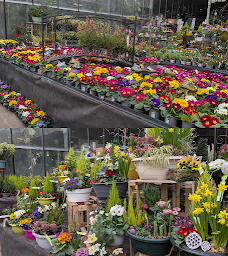 Photo n°4 de Pépinière Côté Jardin à Valentigney (Jardinerie)