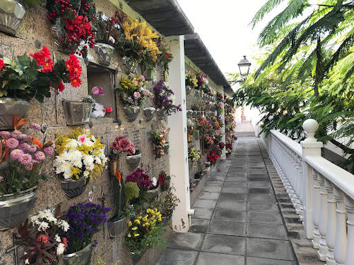 Cementerio Municipal de San Carlos - Thumbnail