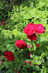 Photo n°10 de Le Domaine de l'Arche à Plouasne (Chambre d'hôtes)