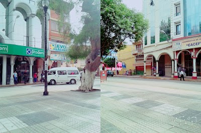 bank