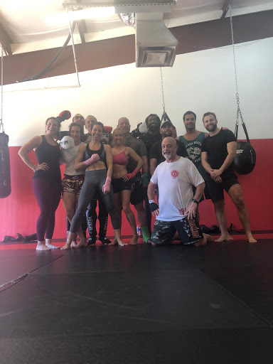 Evolution MMA Naples - Visual