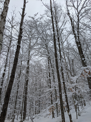 Dewey Mountain Recreation Center - Thumbnail