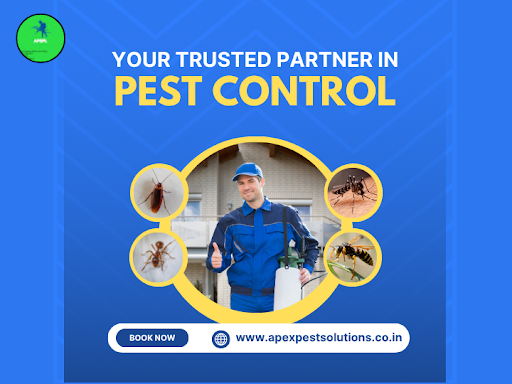 Our experts, duly trained, use government-approved chemicals, latest machinery, and eco-friendly…