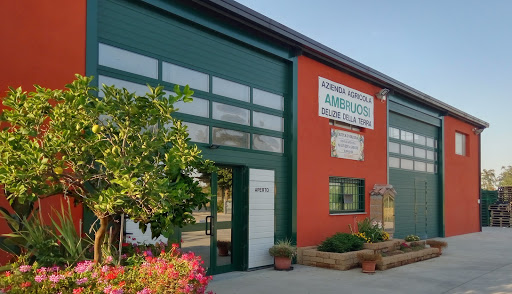 Azienda Agricola Ambruosi di Ambruosi Francesco