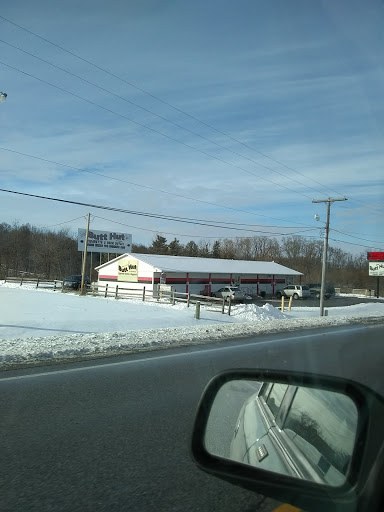 Butt Hut - Visual
