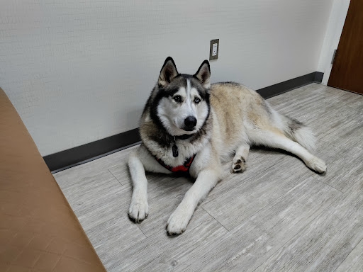 Southwest Veterinary Medical Center - Thumbnail