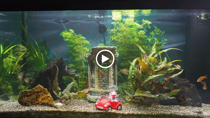 MB Store | Fish Tanks photo 3