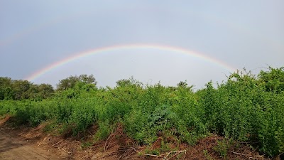 Photos of Nchalo Sugar Mill Illovo