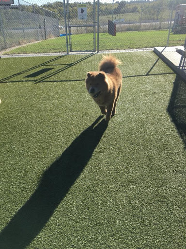 Broken Arrow Pet Resort & Spa