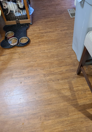 Ecozyme Carpet Clean - Thumbnail