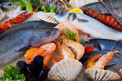 Photos of Ocean Fish Mart