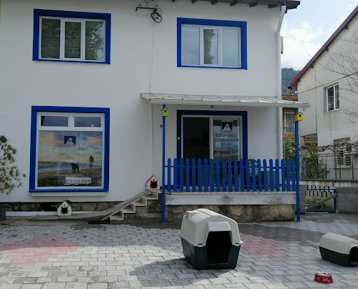 Fethiye Veteriner Kliniği