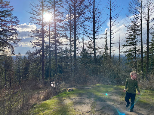 Cedar Mountain - Thumbnail