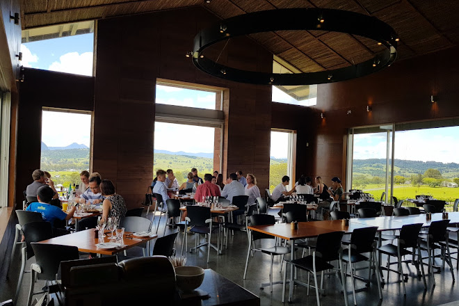 Visit Kooroomba Vineyards And Lavender Farm On Your Trip To Mount