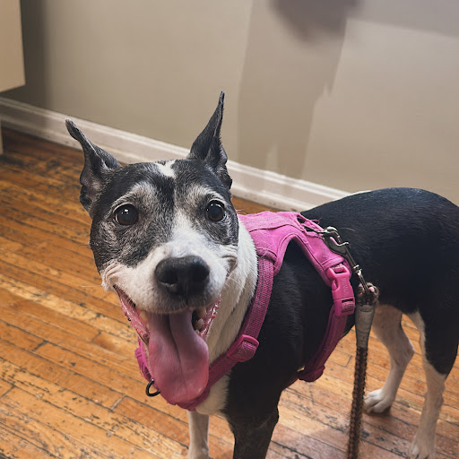 Worner Veterinary Hospital - Thumbnail