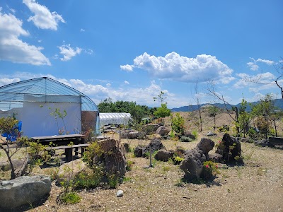 復興拠点にょんにょん