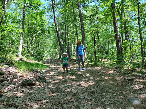 Snake Mountain Trail - Thumbnail