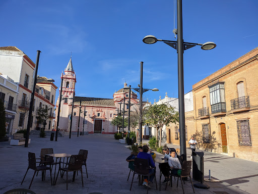 Cafetería Plaza Cafe - Thumbnail