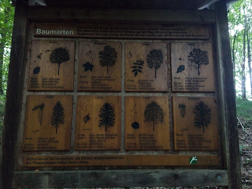 Haldenburg - Visual