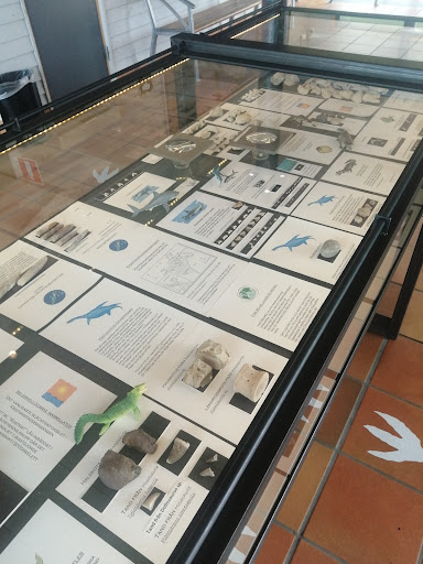 FossilForum - Visual