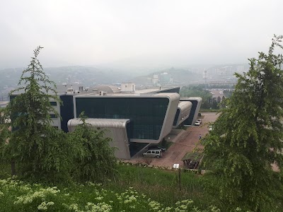 Karabük University Institute for Demir Çelik