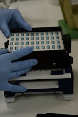 CDS #10 Pharmacy - Thumbnail