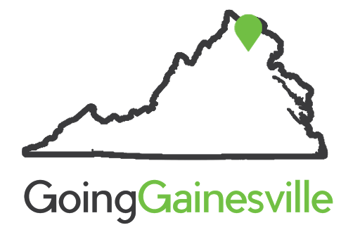 Going Gainesville - Visual