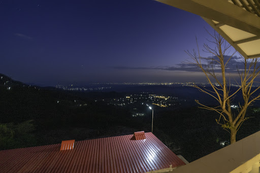 Gallery image 600