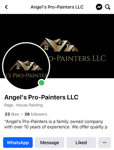 Angel's Pro Painters - Visual