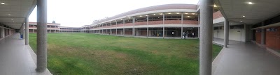 university