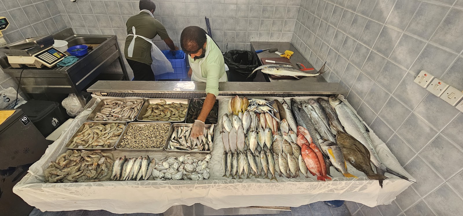 Samak Al Youm Fish Trading - صورة 2
