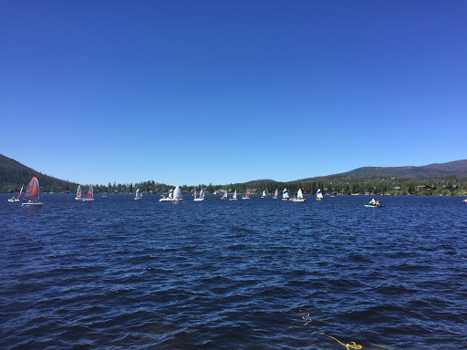 Brenda Lynn Freeman, Grand Lake, CO REALTOR | LIV Sotheby's Realty - Thumbnail