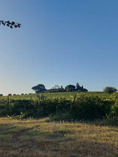 Agriturismo La Tana - Thumbnail