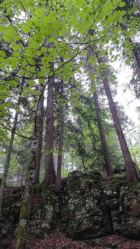 Carrefour de la glacière - Thumbnail