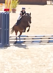 Photo n°19 de Poney club Atoucrin à La Chapelle-d'Aligné (Centre équestre)