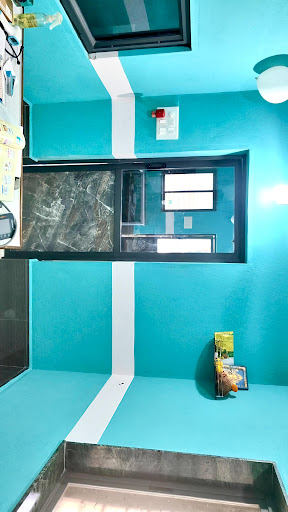 Gallery image 8