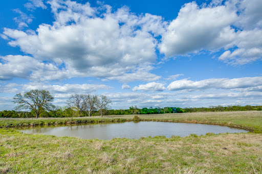 Donna Noto | RE/MAX Associates - Thumbnail