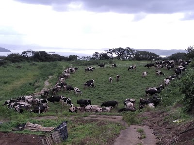 株式会社 ミルクる