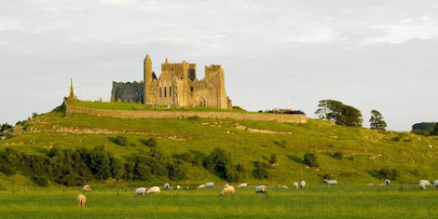 Michael Collins & Company