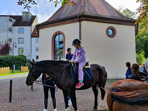 Baulandhalle Osterburken - Thumbnail