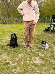 Photo n°4 de A l'Oreille du Chien à Saint-Léger-en-Yvelines (Dresseur pour chiens)