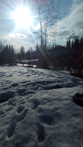 Fairbanks Lions Recreation Area - Thumbnail