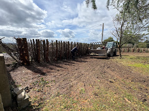 Photo n°14 de SARL TISON BOIS & TP à Saint-Vaury (Service d'élagage)