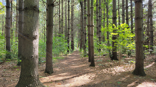 Dorchester Conservation Area